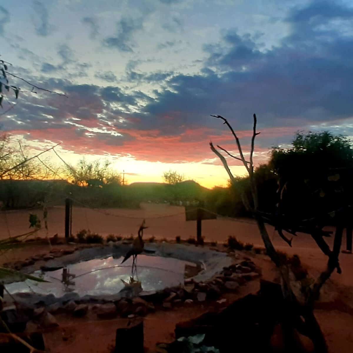 479712625_1177743537302970_653622328088556179_n